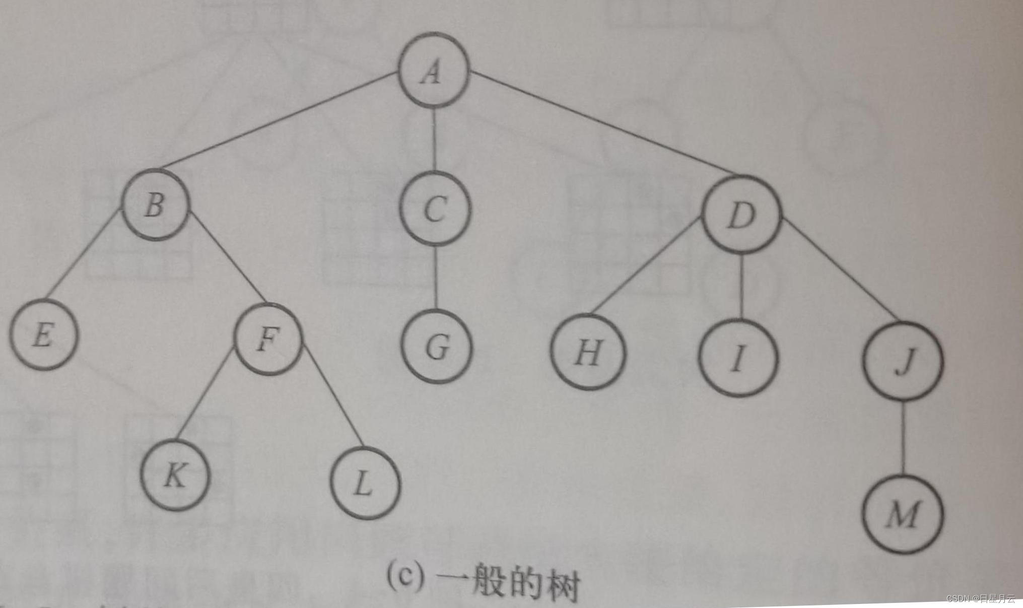 第六章 树【数据结构和算法】【精致版】