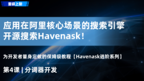 Havenask进阶系列第4节：分词器开发