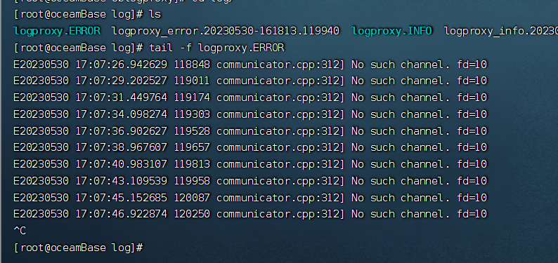 729cd698d477fed04ebee145cd0e0081.png