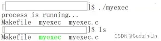 【Linux初阶】进程程序替换 | 初识、原理、函数、应用 & makefile工具的多文件编译