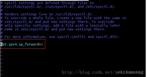 Docker之WARNING: IPv4 forwarding is disabled. Networking will not work.