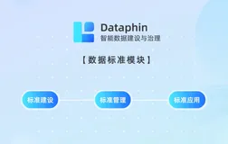 Dataphin数据治理系列：数据标准助力企业全链路数据治理