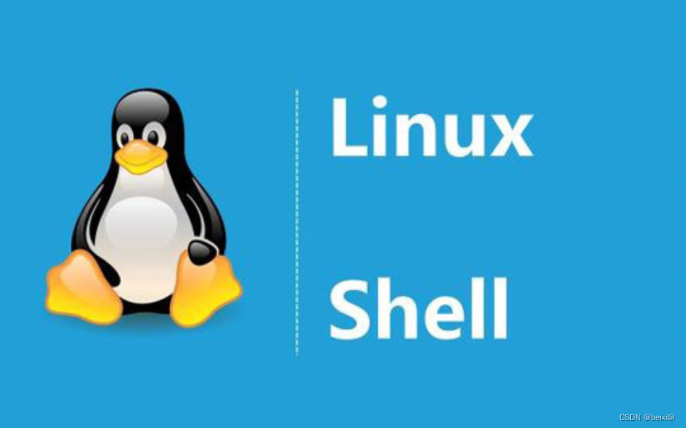 【Linux】shell编程基础（超详细，入门看这一篇就够了）(上）