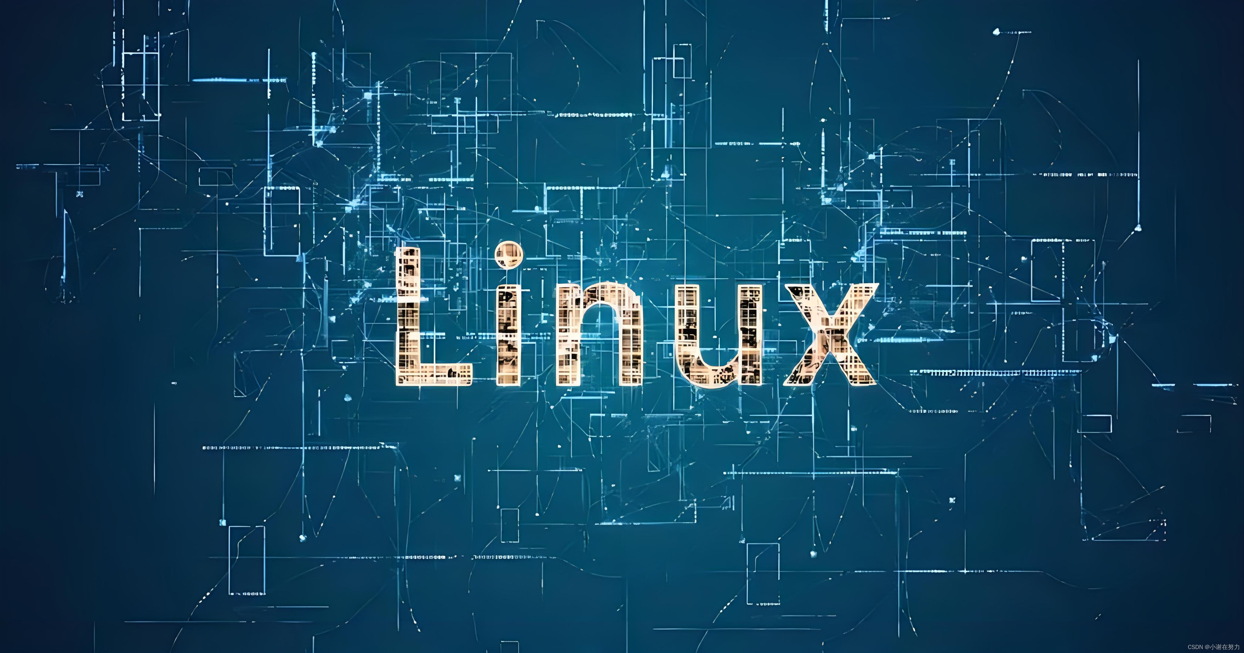 【Linux学习】​​学习Linux的准备工作和Linux的基本指令