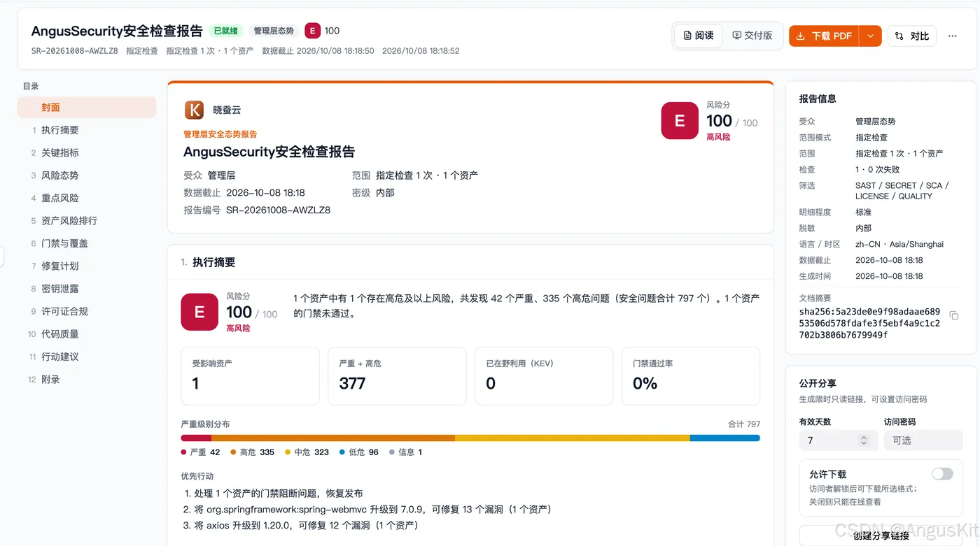 AngusSecurity 安全检查报告示例