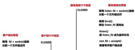 【网络】TCP协议理论（2）