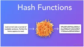 数据结构系列: Hash散列表