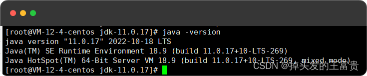 Linux安装Jenkins（Java11最新版）
