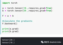 Pytorch中的.backward()方法