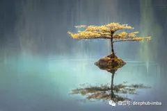 PyTorch中的傅立叶卷积：通过FFT有效计算大核卷积的数学原理和代码实现