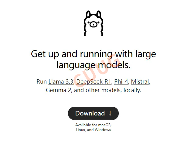 Linux下搭建本地deepseek(附文档下载)