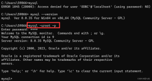  mysql8.0 ERROR 1045 (28000): Access denied for user ODBC@localhost (using password: NO)ûʾܾ