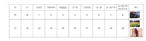 poi 读取word 遍历表格和单元格中的图片