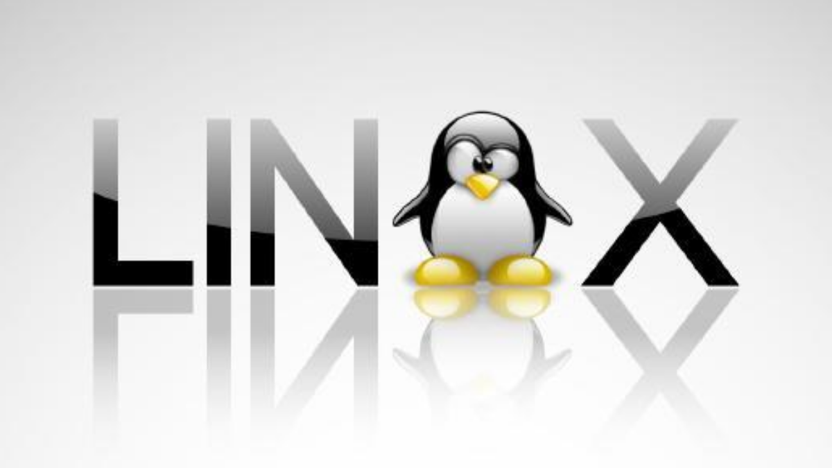 常用的Linux命令（面试/工作必备）