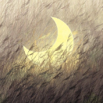 【Linux】基础命令学习