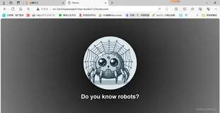 2024第十五届蓝桥杯网络安全赛道省赛题目writeup(包含理论题、web、crypto、misc、reverse、pwn)
