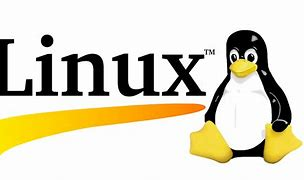 Linux 常用操作技巧