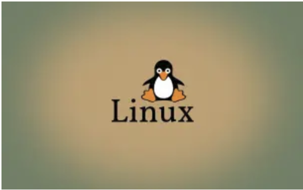 开发常用的 Linux 命令4（系统、进程和其它）