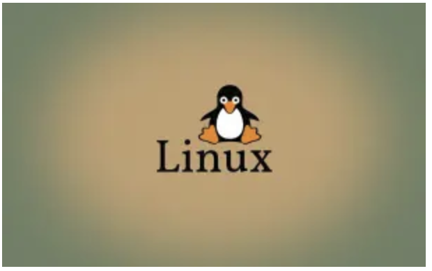 开发常用的 Linux 命令2（文件的查看、搜索和权限）