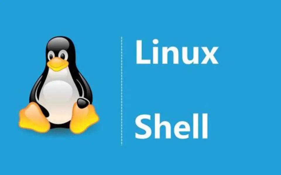 Linux Shell脚本中的变量和流程控制