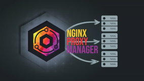 如何使用 Nginx 代理管理器 (NPM) 设置反向代理？