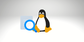 如何在使用 Linux find 命令时排除特定目录？