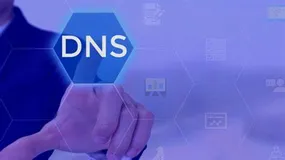 如何在 Linux 上刷新 DNS 缓存？