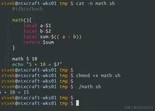【Linux】Pass arguments into a function（二）