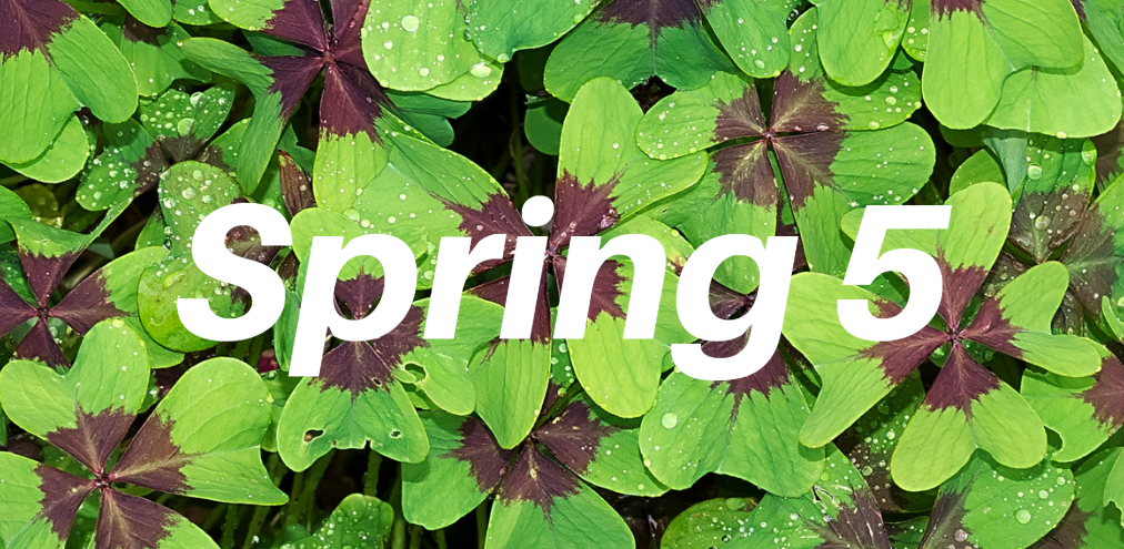 【Spring】掌握 Spring Validation 数据校验