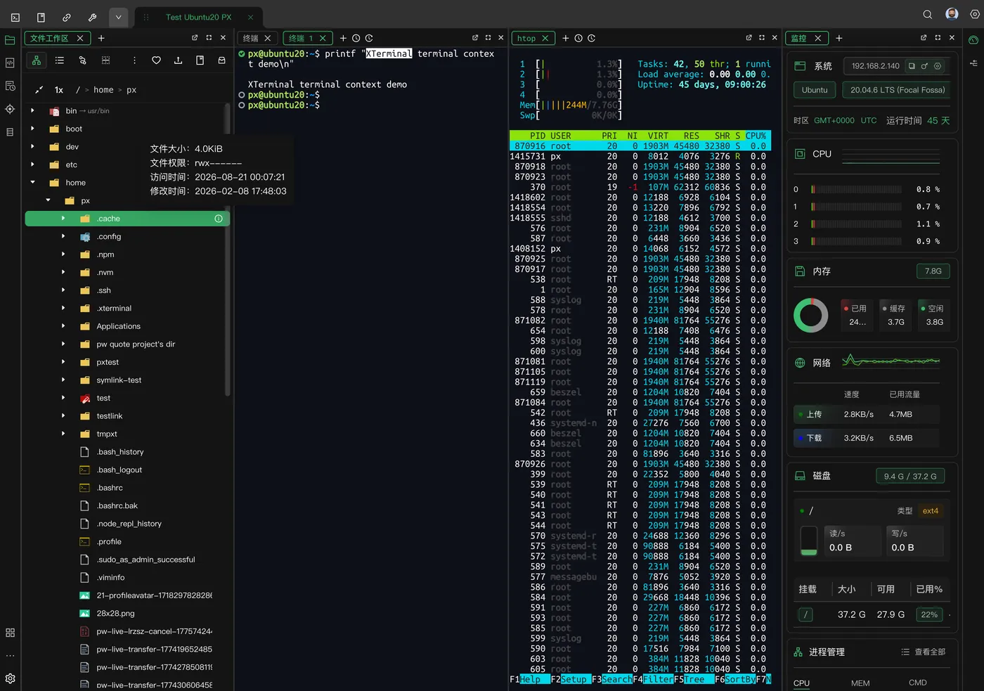 remote-file-info.png