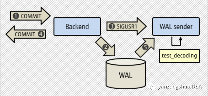 PostgreSQL 14中两阶段提交的逻辑解码