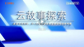 【云故事探索】NO.7：「越用越上瘾」，中华财险 60% 研发人员用通义灵码提效 