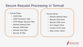 带你读《Apache Tomcat的云原生演进》——Securing Apache Tomcat（4）