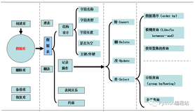 MySQL基础(非常全--保姆级教学)（下）