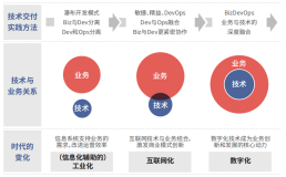 读《必致（BizDevOps）白皮书2022》之感