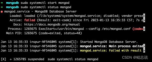 mongo: ubuntu系统安装mongo报错 code=exited, status=48