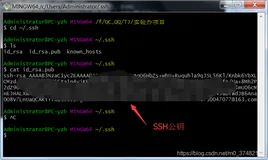 Git生成ssh公钥(ssh key)以及在GitLab配置ssh公钥