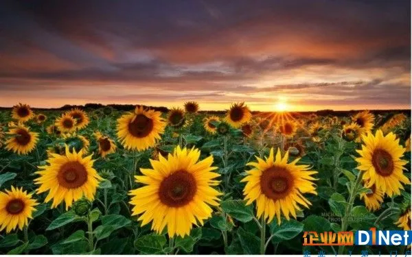 亚坦新能科普:光伏补贴真的是国家给的吗?