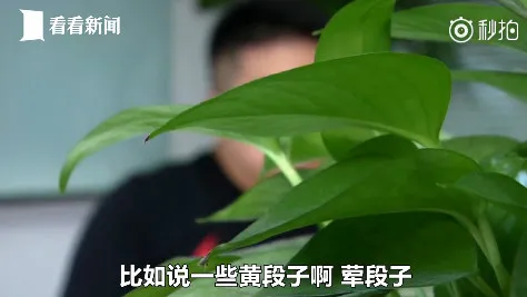 小猿搜题如何发现竞品的阴谋?知情人这样说