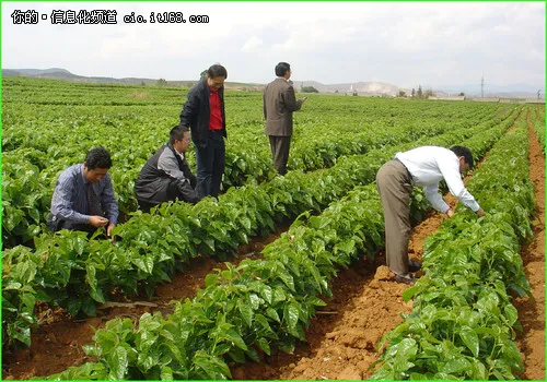 互联网+，让农业玩出新花样