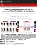 NeurIPS 2025 Spotlight！跨模态重识别革命！东北大学等 MDReID 图像信息智能匹配