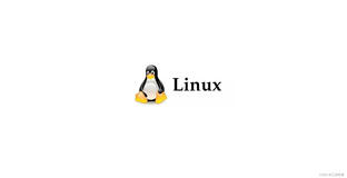 Linux系统之lsof命令的基本使用