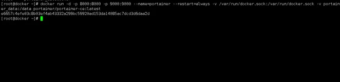 【Docker管理工具】使用Docker部署portainer-ce管理工具