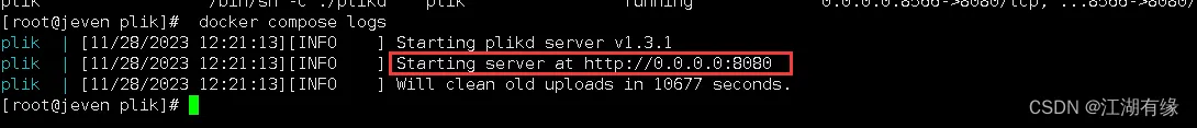 【Docker实战项目】使用Docker部署Plik 临时文件上传系统