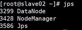 slave运行jps