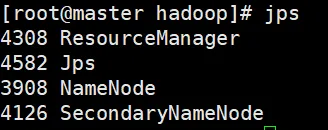 master运行jps