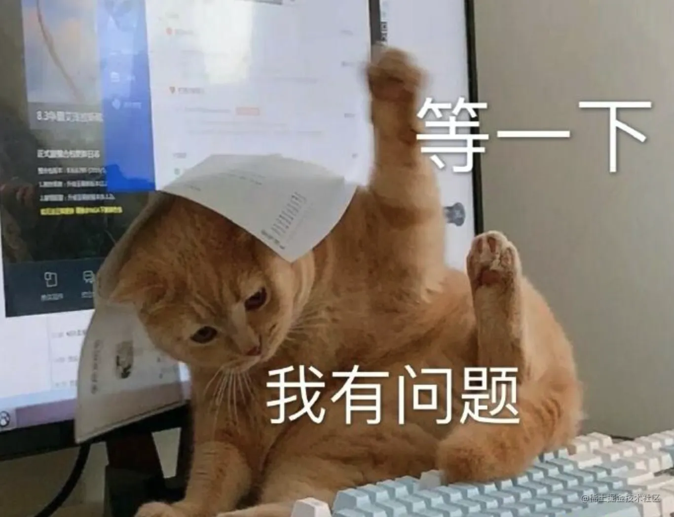 277ebb0c20884448ad67485f3aa389f6~tplv-k3u1fbpfcp-watermark.image