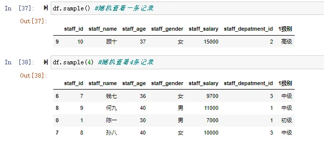 随机查看样本 sample(n)