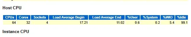 AWR Host CPU：CPU Idle 为 99.1%