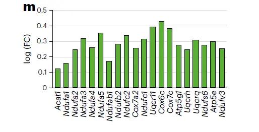 跟着Nature Metabolism学作图:R语言ggplot2各种各样柱形图(1)